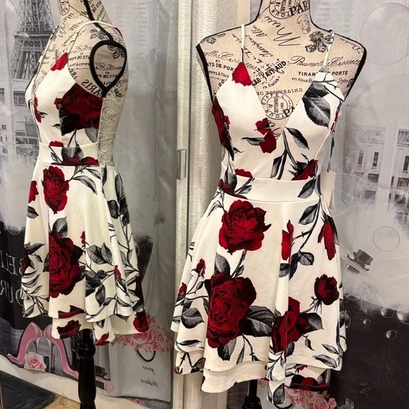NWT Iris Red and White Rose Fit and Flare Mini Dress - Picture 1 of 9